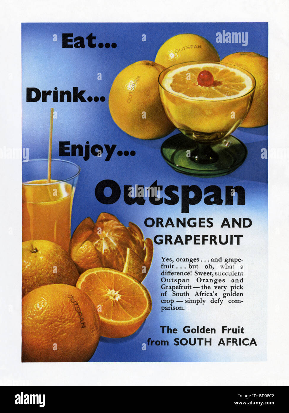 1951 pubblicità per il outspan South African arance e pompelmi Foto Stock