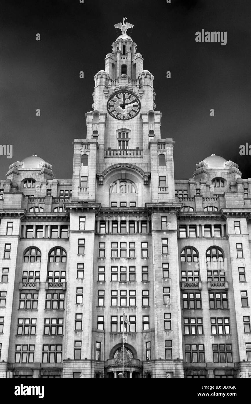 Il Royal Liver Building, Pier Head, Liverpool, Merseyside, Regno Unito Foto Stock