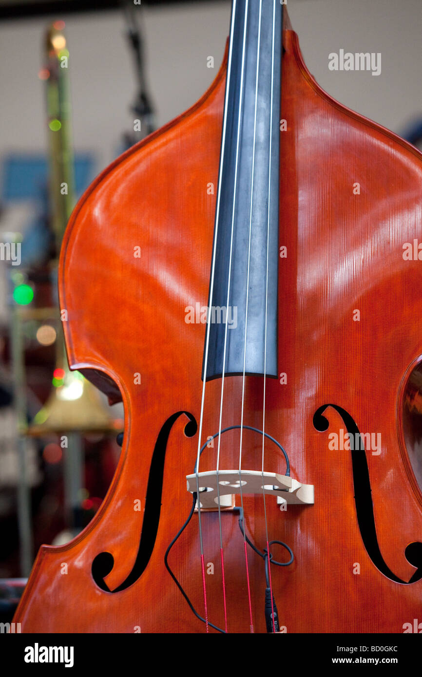 Riproduzione di corde della bass Foto Stock