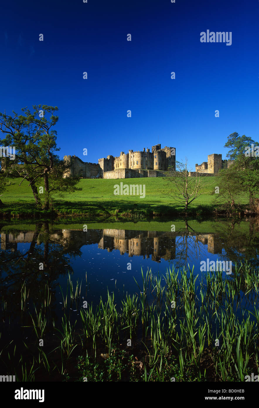 Alnwick Castle dai pascoli, Alnwick, Northumberland, Regno Unito Foto Stock