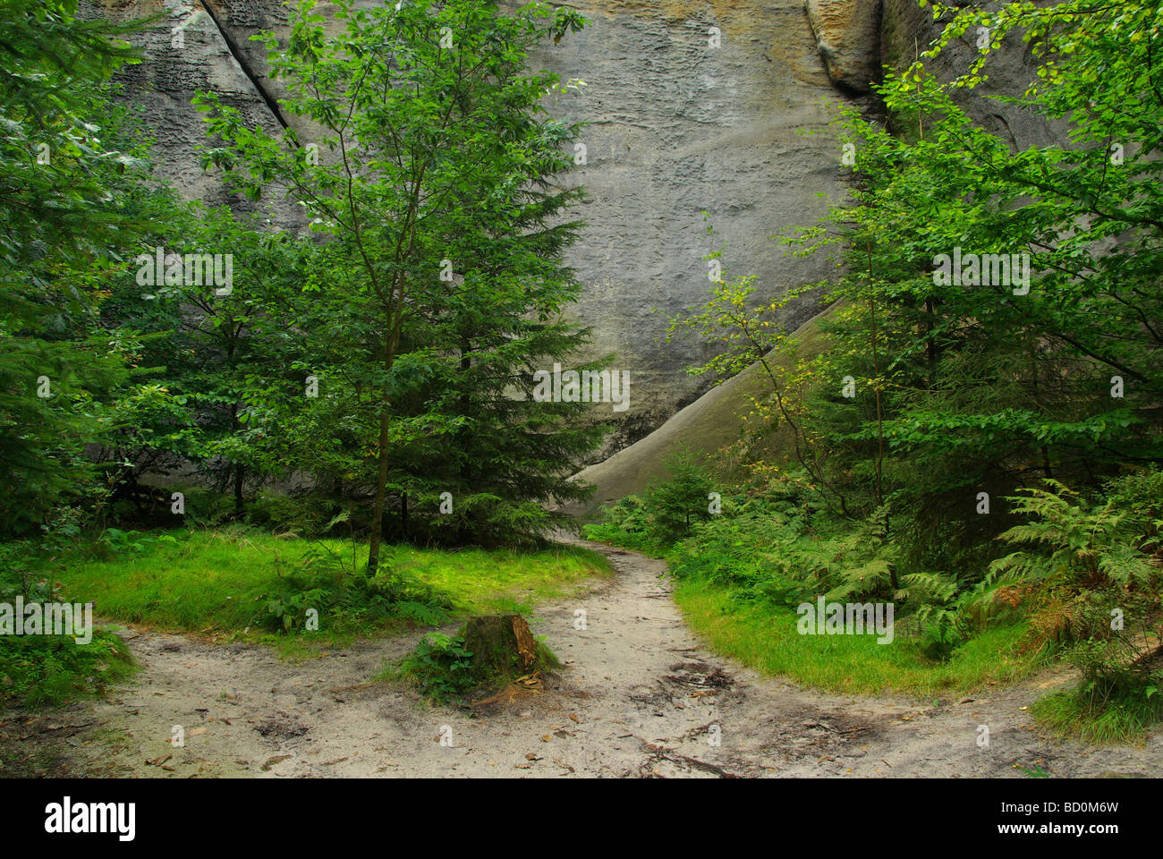 Montagne Affensteine Affensteine 01 Foto Stock