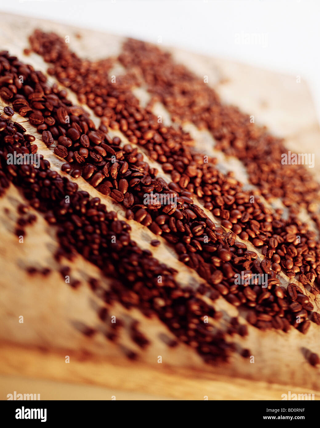 Linee di chicchi di caffè sul sacco di caffè Foto Stock