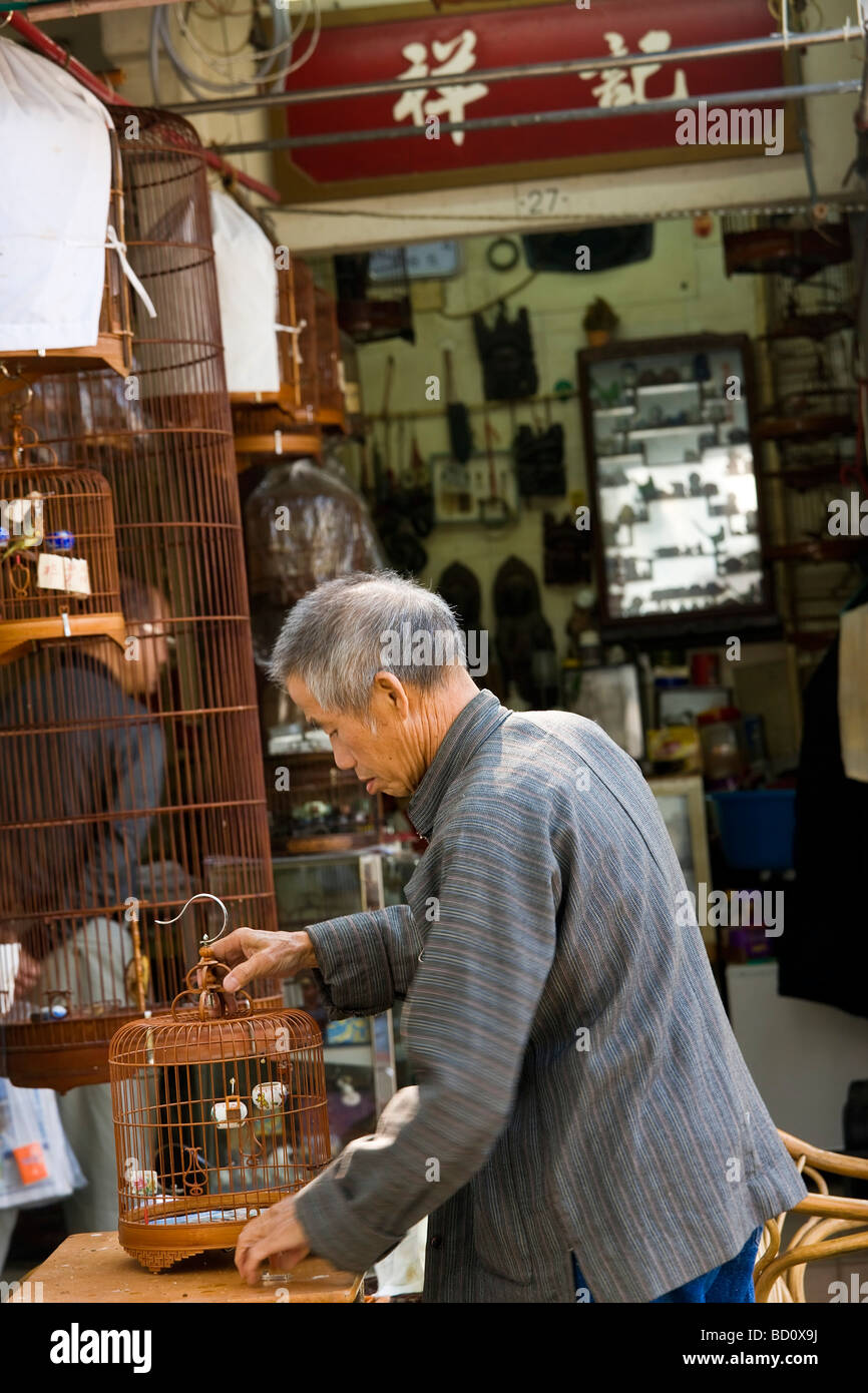 Uomo con gabbie di uccelli bird market Hong Kong Cina Foto Stock