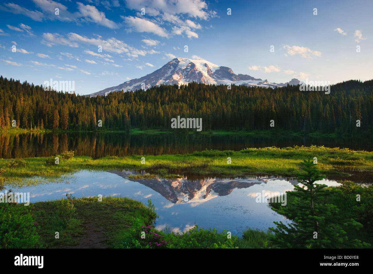 Sunrise a Mount Rainier dalla riflessione sul lago, nello Stato di Washington, USA Foto Stock