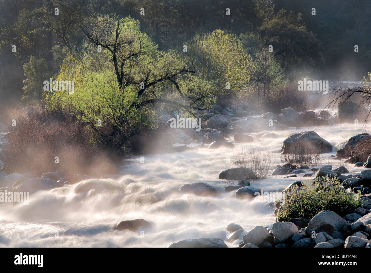 Molla alta runoff di acqua nel fiume Merced Yosemite National Park in California Foto Stock
