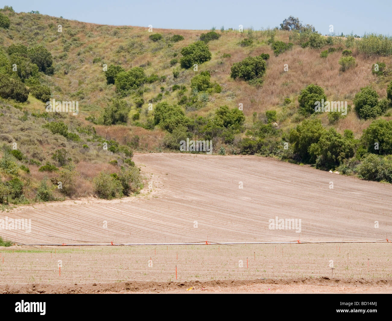 Una vista di terreni agricoli Foto Stock
