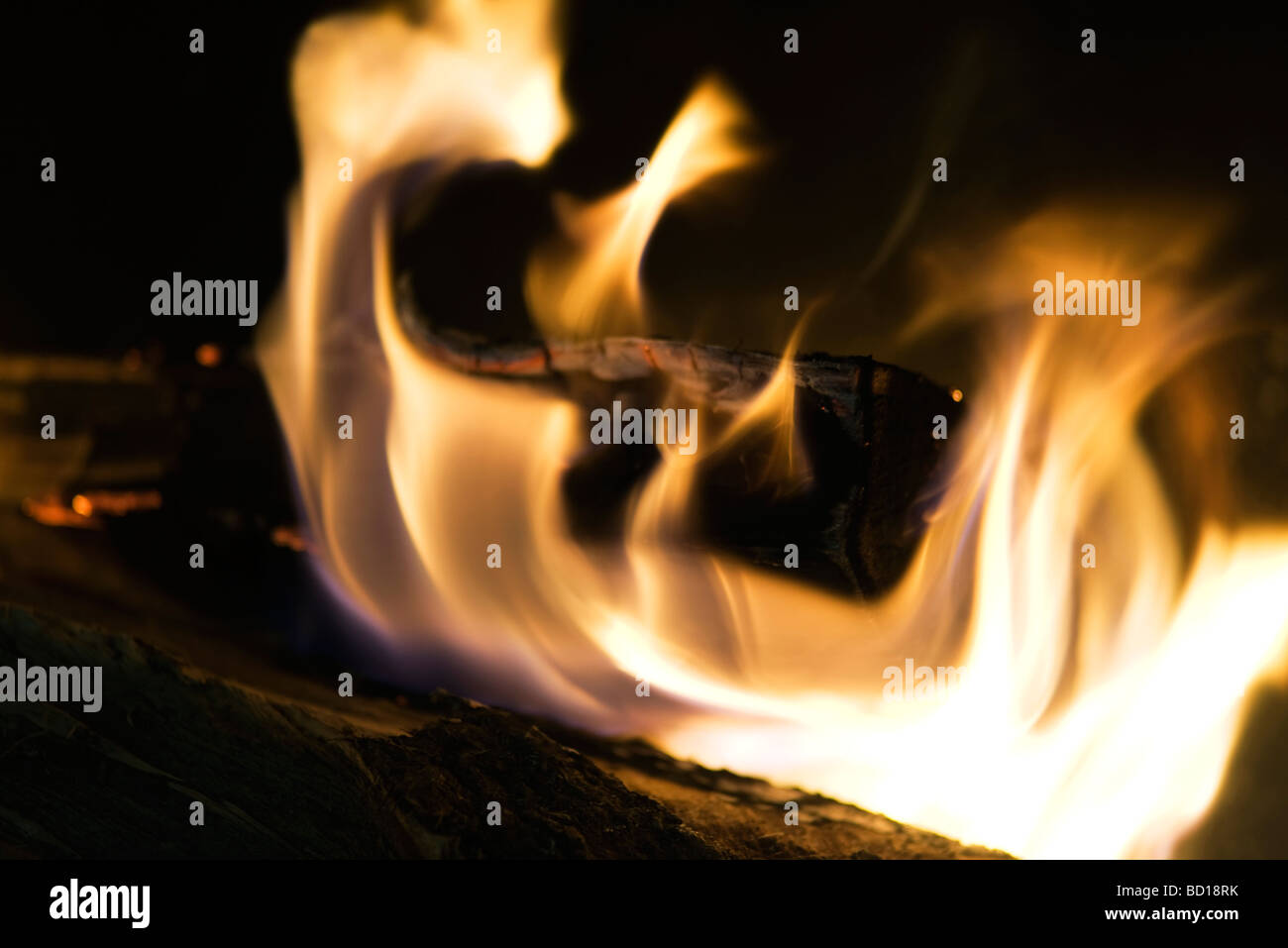 Fuoco, primo piano Foto Stock