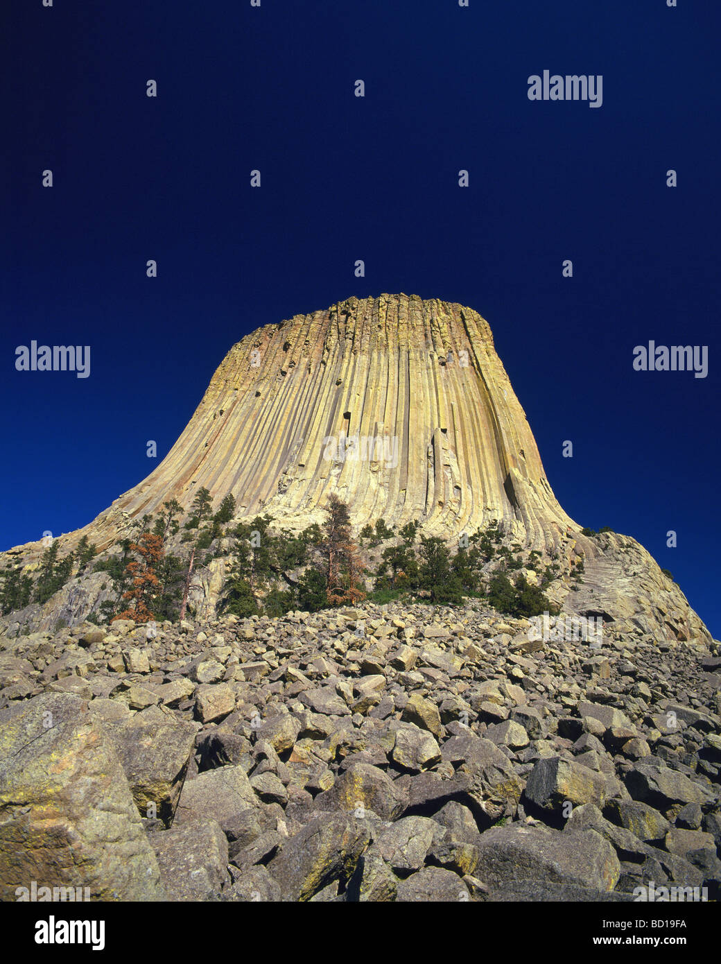Devils Tower National Monument Wyoming USA Foto Stock