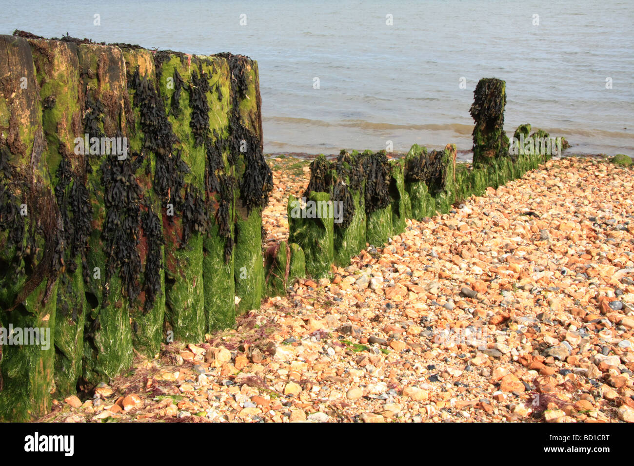 Struttura di frangionde eroso (Littlehampton, Inghilterra) Foto Stock