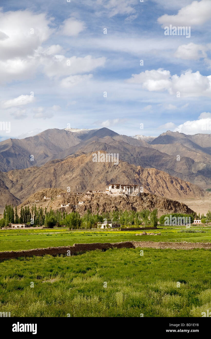 Un monastero buddista sulla cima di una collina nel panoramico Ladakh Foto Stock