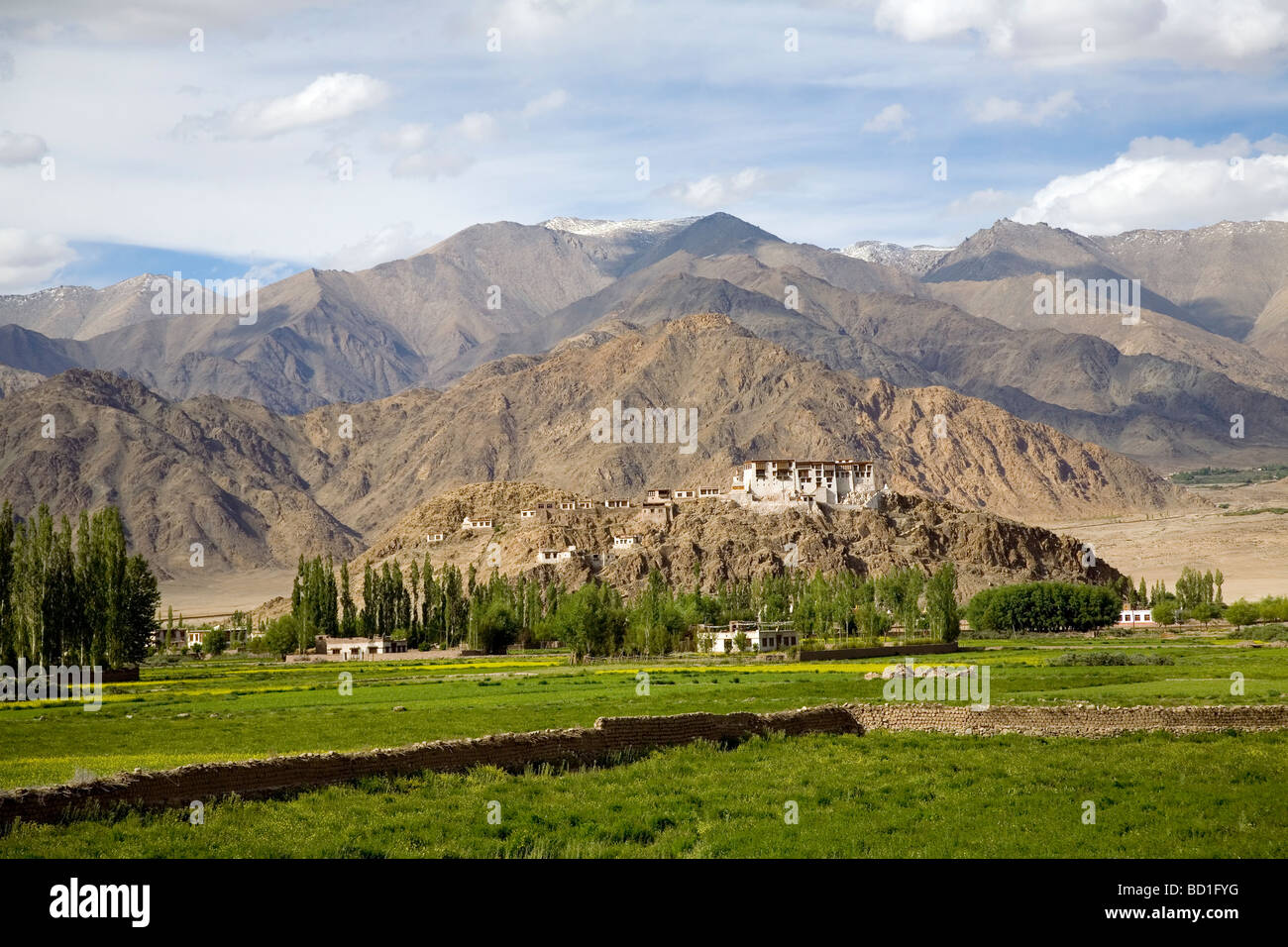 Un monastero buddista sulla cima di una collina nel panoramico Ladakh Foto Stock