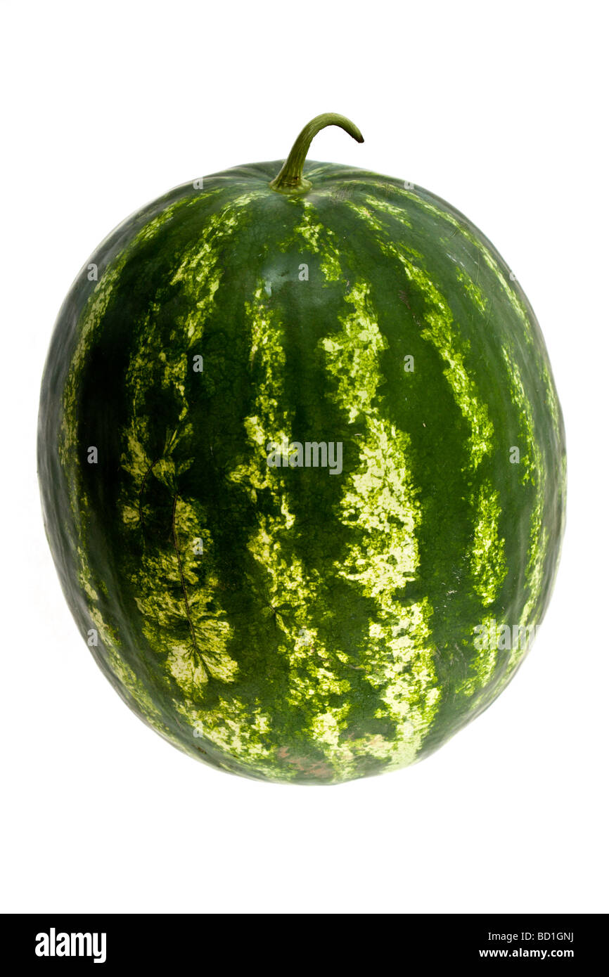 Il grande mature striped Water melon su sfondo bianco Foto Stock