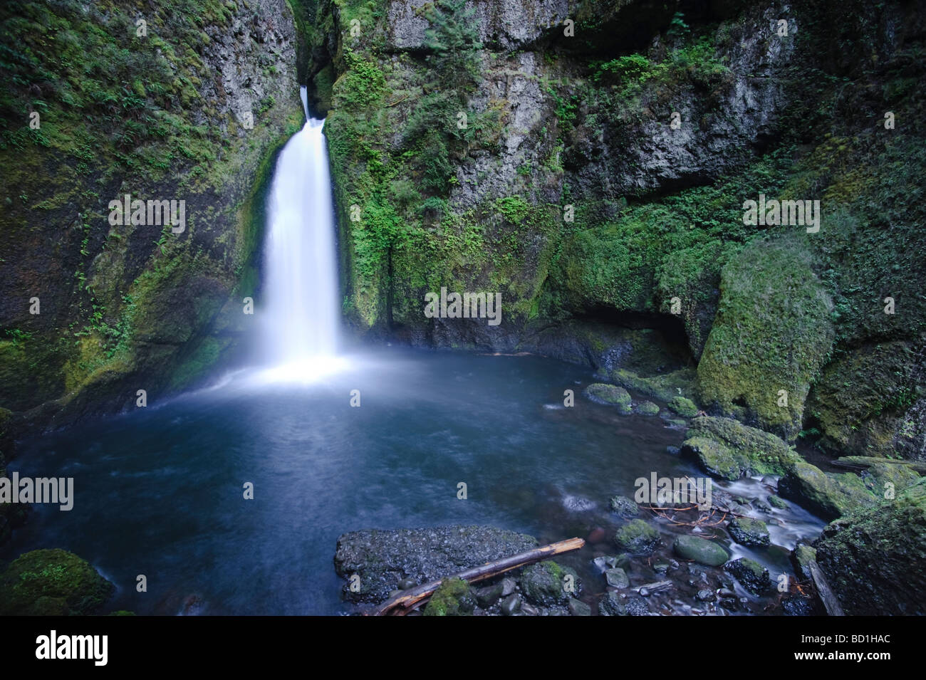 USA Oregon Columbia River Gorge Waclella cade Foto Stock