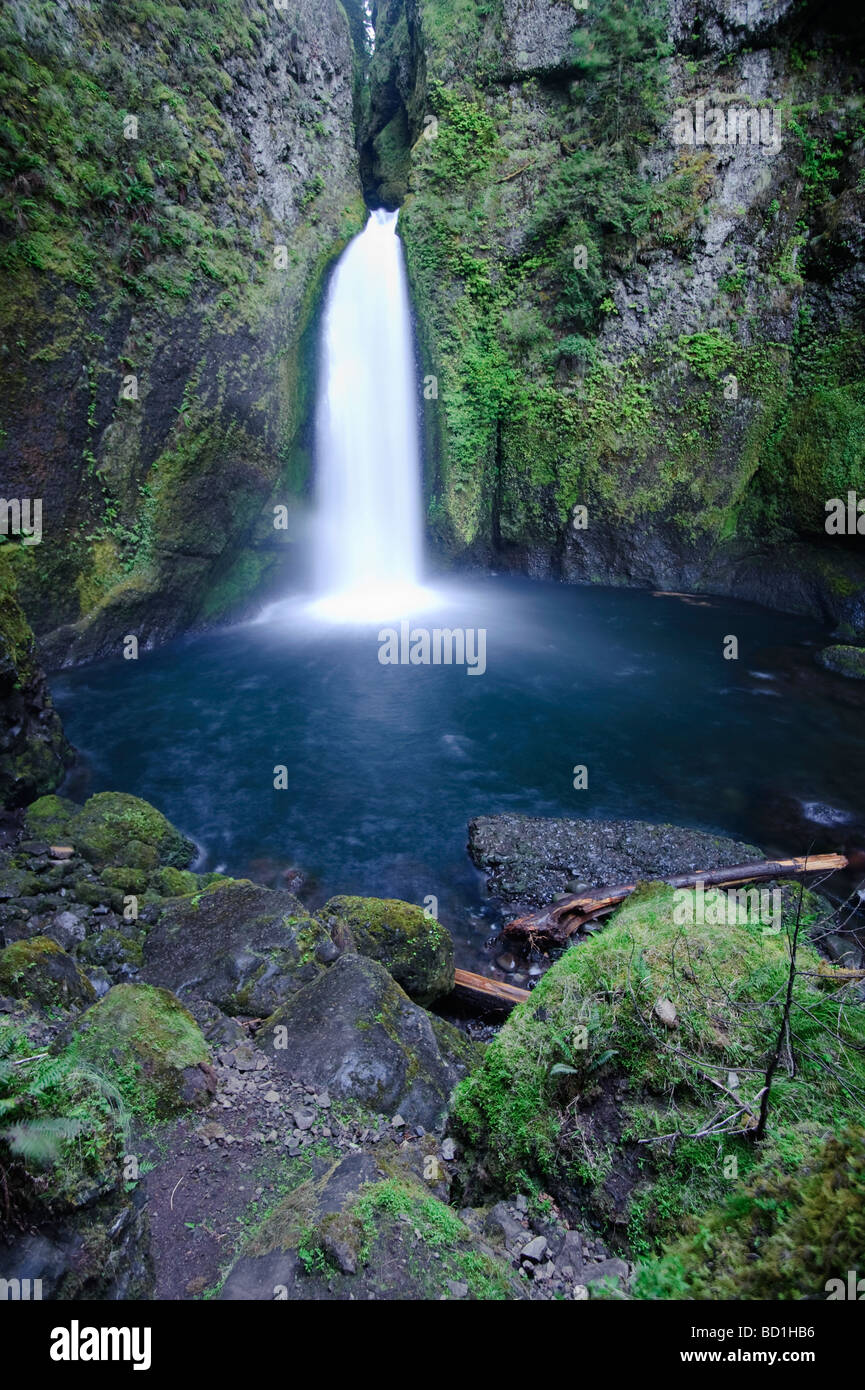 USA Oregon Columbia River Gorge Waclella cade Foto Stock