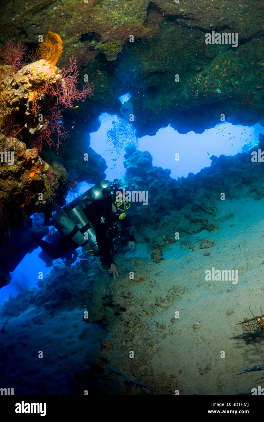 I subacquei tecnici di nuoto nella grotta nel Mare Rosso. Safaga, Mar Rosso Foto Stock