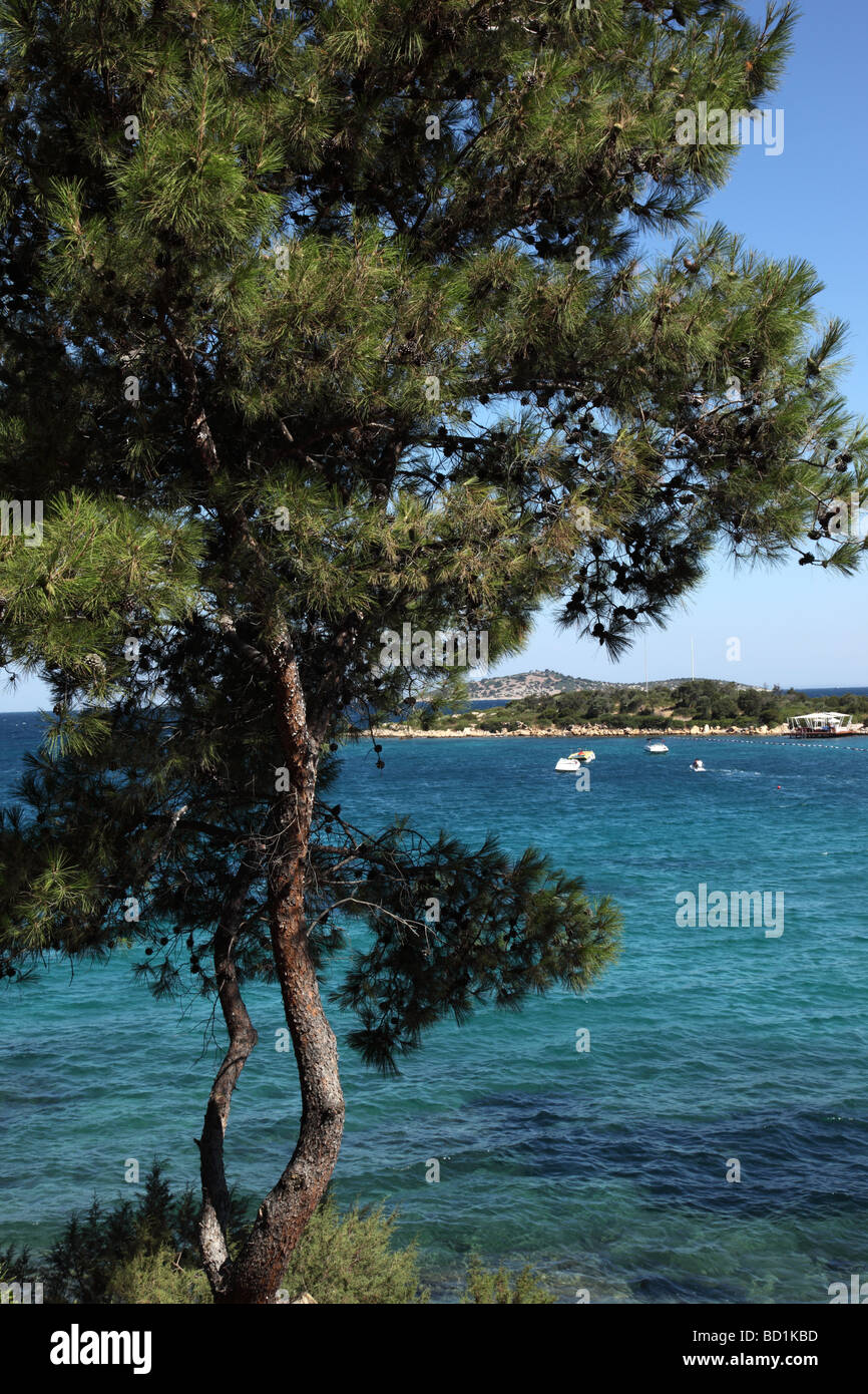Vista da Rixos Hotel, che si affaccia sul mare, torba, Turchia Foto Stock