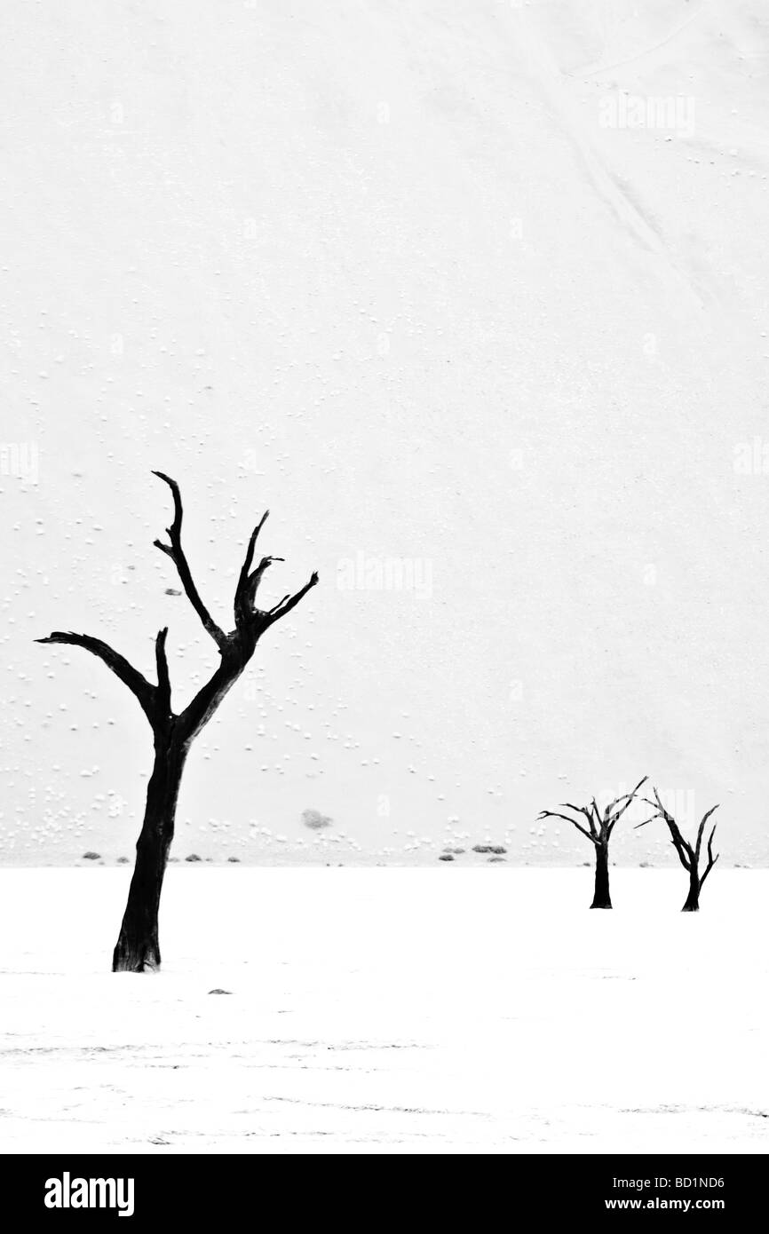 Gli alberi morti di Deadvlei vicino al Sossusvlei nel deserto del Namib Namibia Foto Stock