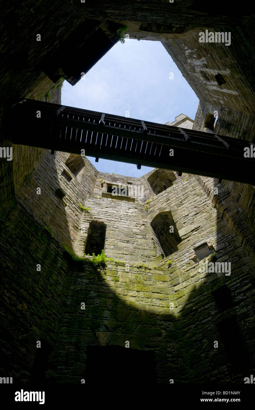 Caernarfon Castle, Galles del Nord Foto Stock