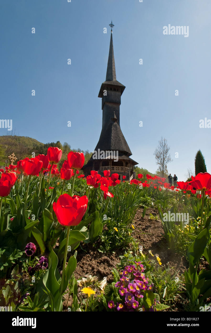La Romania Barsana Monastero Complesso con chiesa in legno steeple in primavera, Maramures Contea del nord della Transilvania Foto Stock