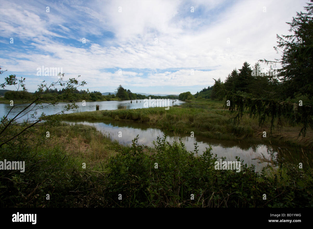 Canoa di atterraggio sulla Lewis e Clark fiume in Oregon vicino a Fort Clatsop Foto Stock