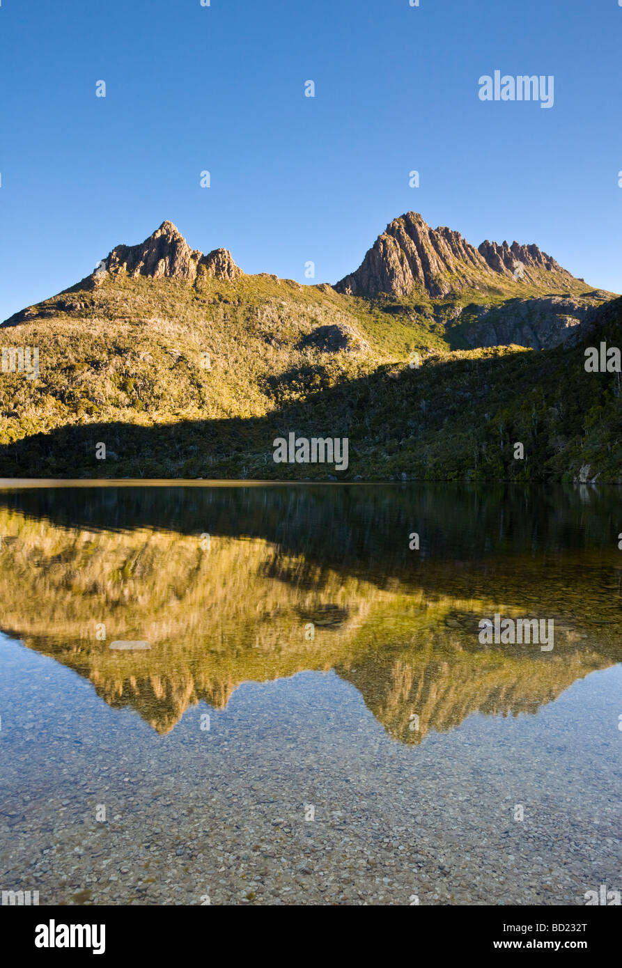 Cradle Mountain riflessa nel lago Colomba Tasmania Australia Foto Stock