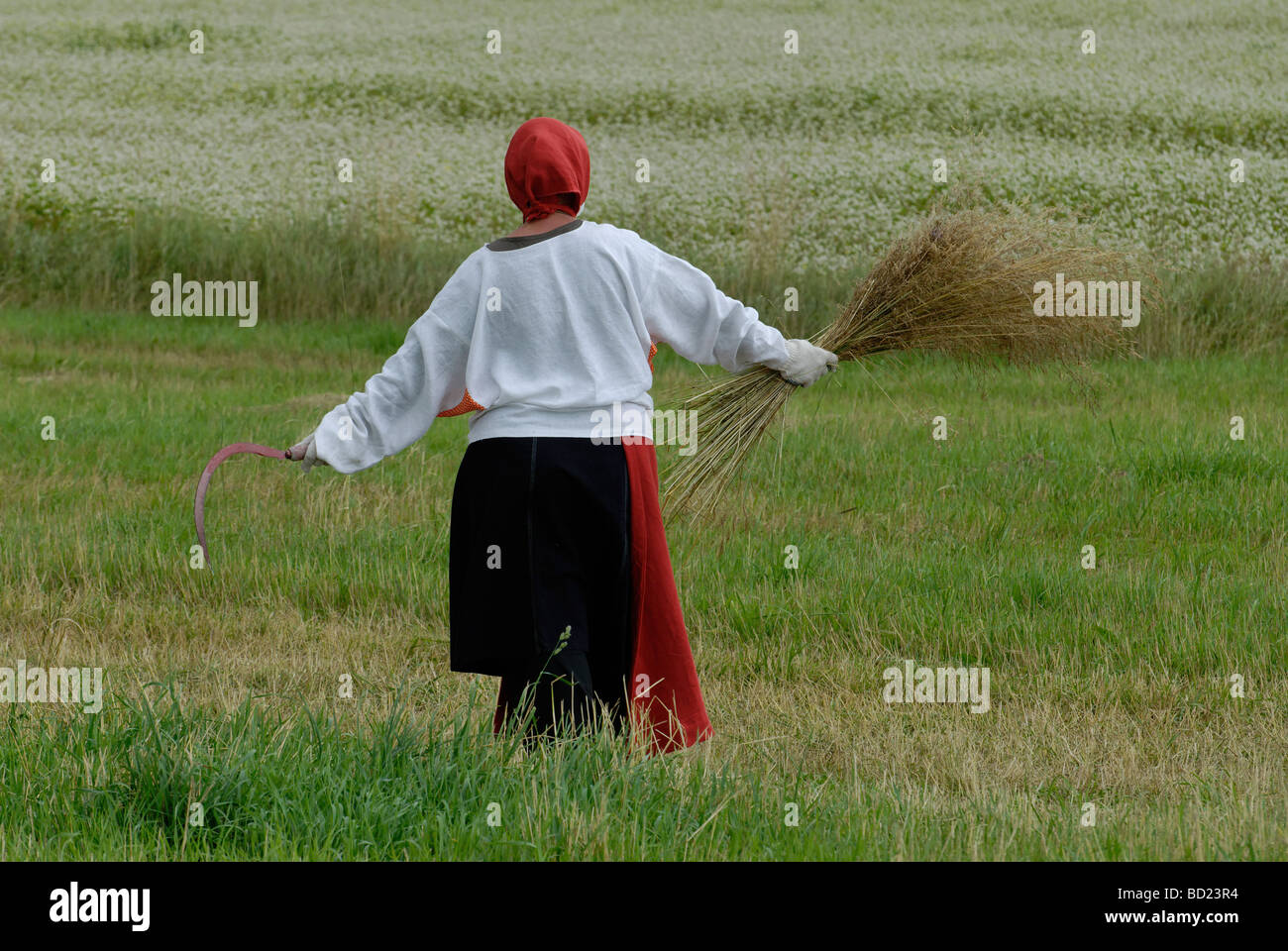 Contadina russa con gancio Foto Stock