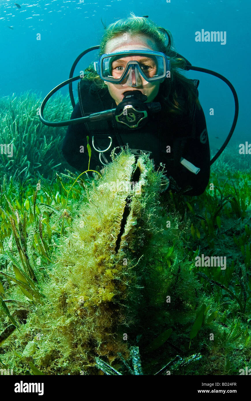 Cipro riserva di pesce Foto Stock
