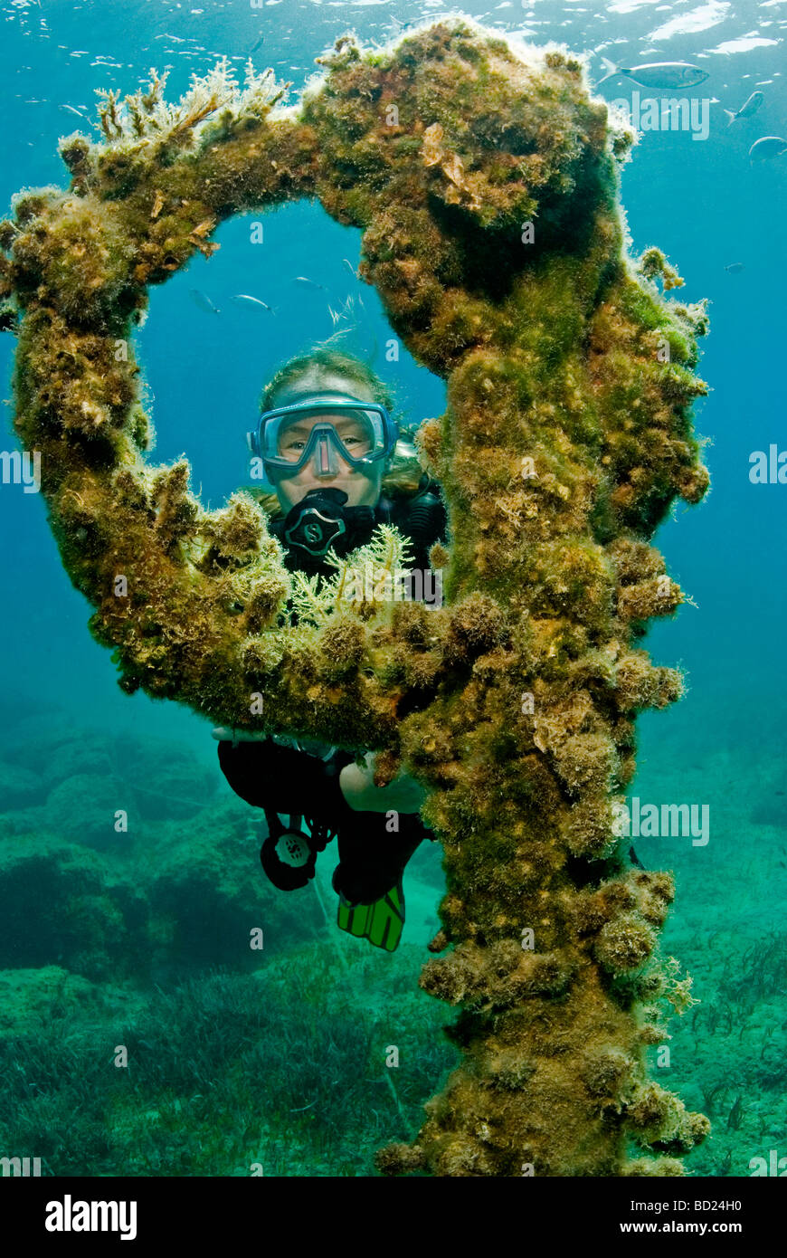 Relitto presso la riserva di pesce nei pressi di Limassol a Cipro Foto Stock