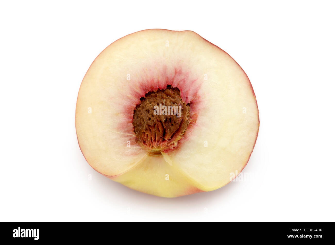 Pesche bianche, bianco-fleshed Peach (Prunus persica) Foto Stock
