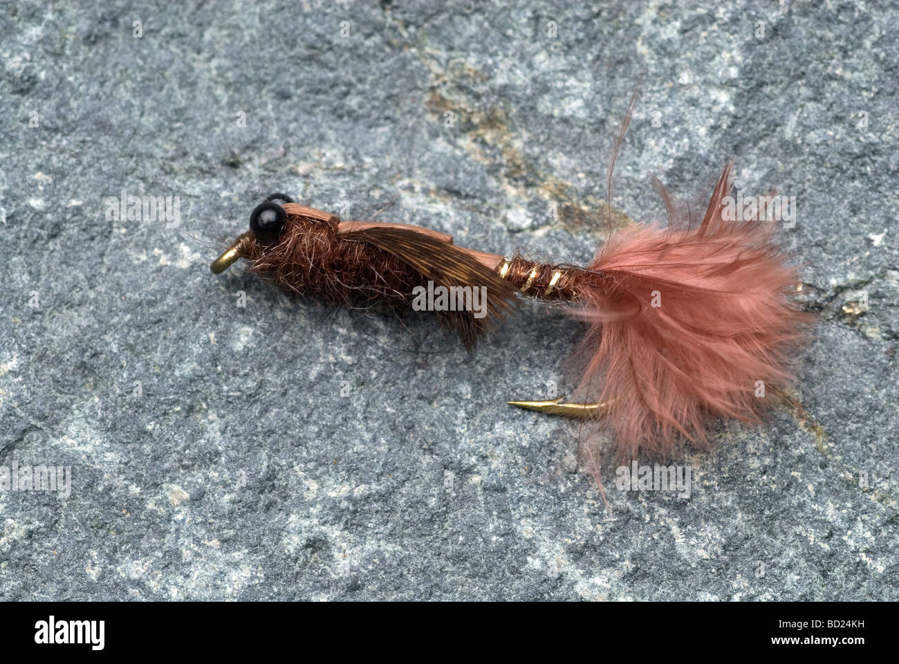 Vicino la foto di una fanciulla Whits acqua fresca la pesca fly. Foto Stock