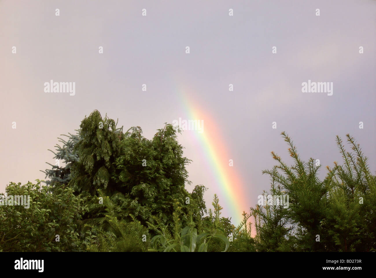 Regenbogen arcobaleno 04 Foto Stock