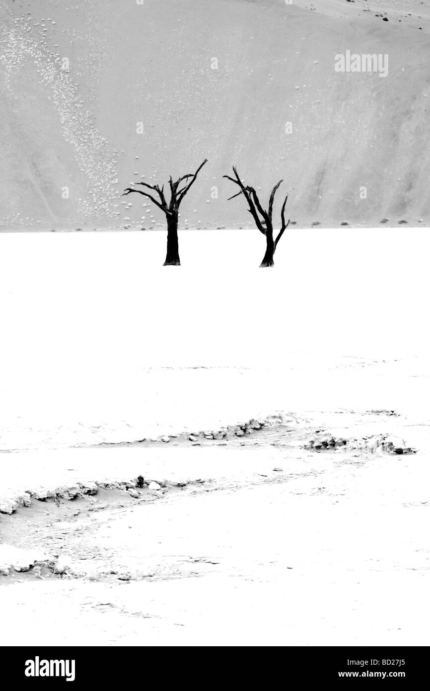 Gli alberi morti di Deadvlei vicino al Sossusvlei nel deserto del Namib Namibia Foto Stock