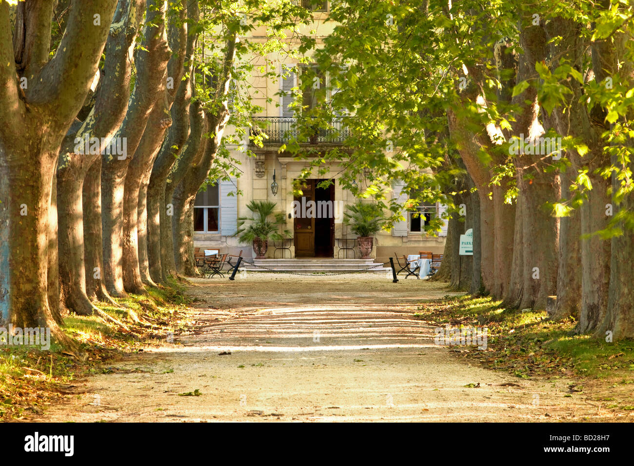 Viale alberato di un castello nei pressi di San Remy de-Provence Francia Foto Stock