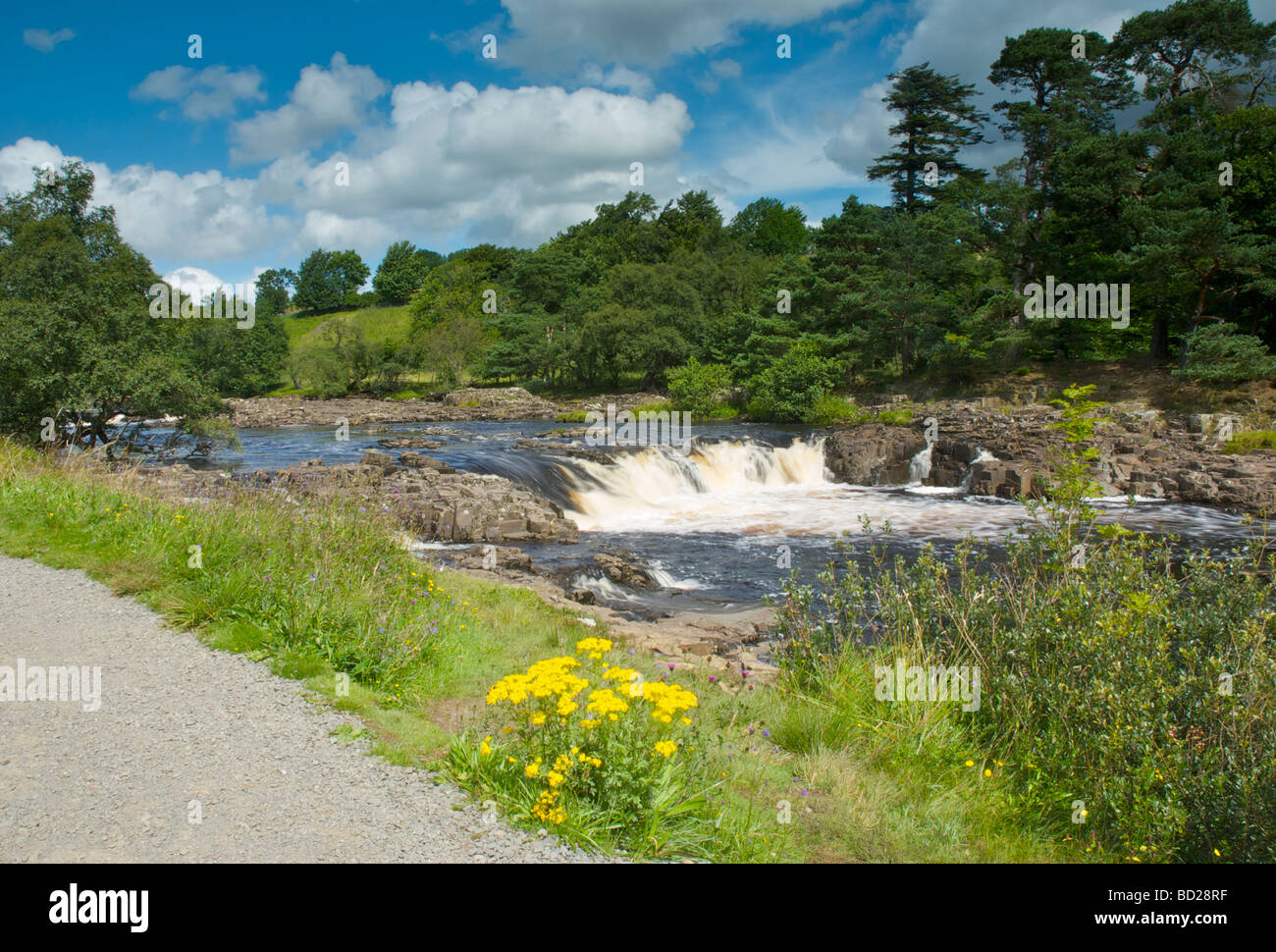 Bassa forza sul Fiume Tees, Teesdale, County Durham, England Regno Unito Foto Stock