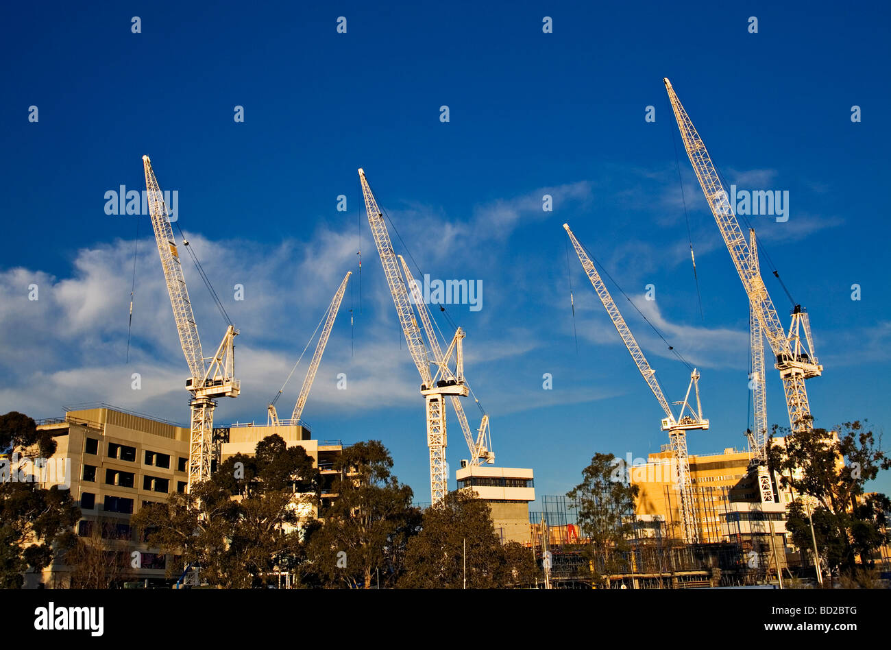 Industria edile / gru a torre si elevano al di sopra del nuovo 'Royal ospedale per bambini " site.Melbourne Victoria Australia. Foto Stock