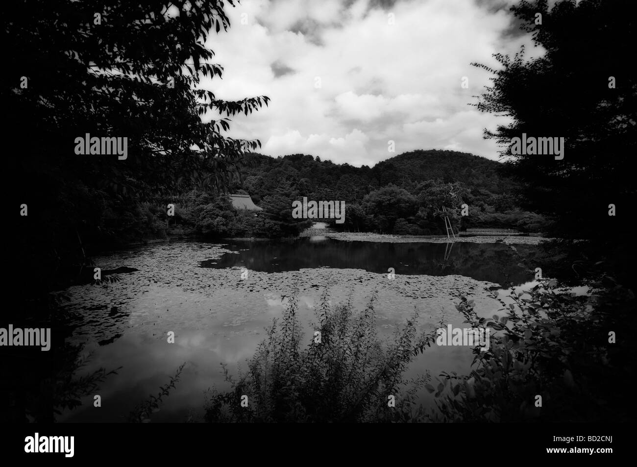 Laghetto del giardino giapponese a Ryoan-ji. Il protocollo di Kyoto. Kansai (aka Kinki) regione. Giappone Foto Stock
