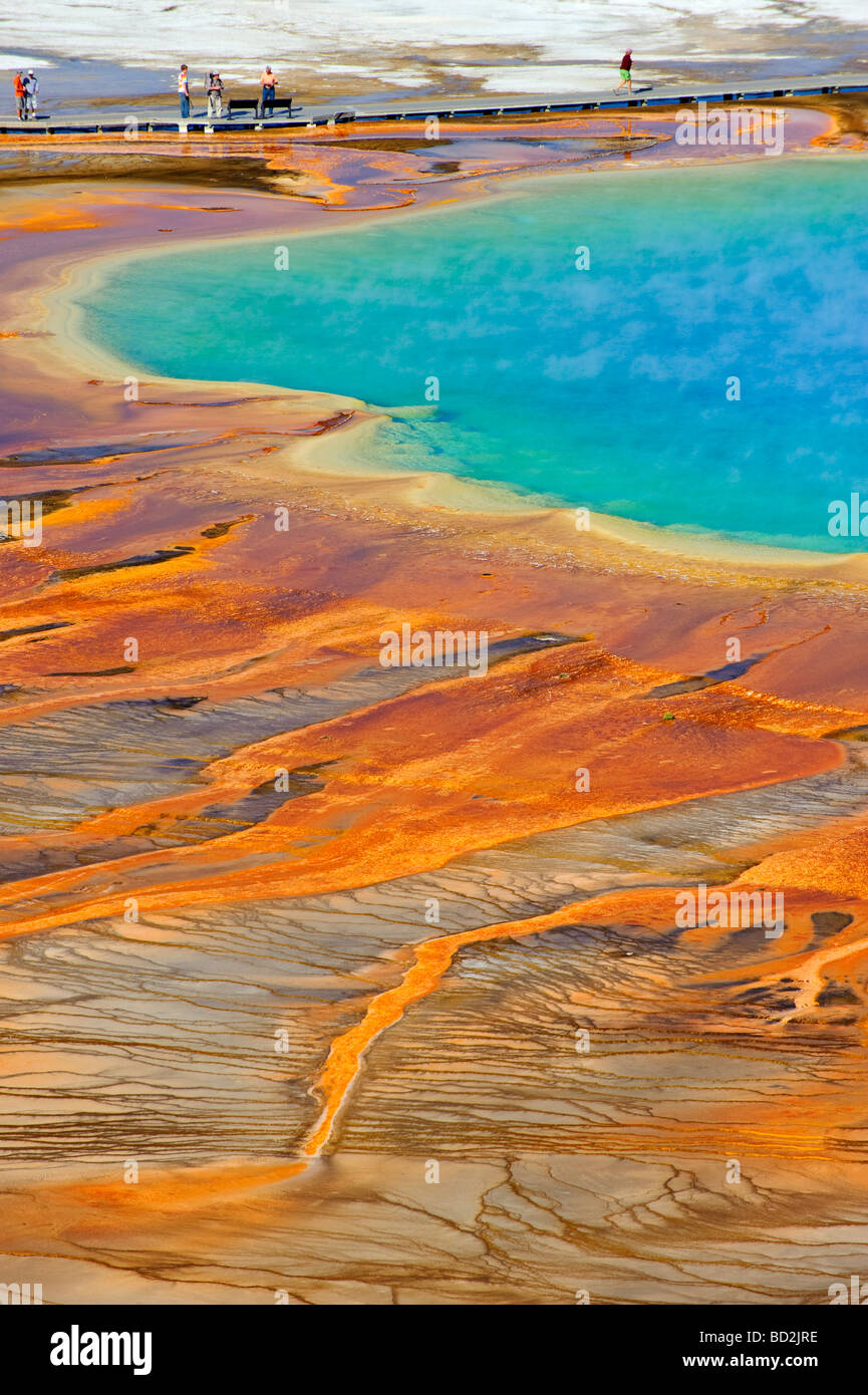 Grand Prismatic Spring mondo s terzo più grande piscina termale il Parco Nazionale di Yellowstone Wyoming USA Foto Stock