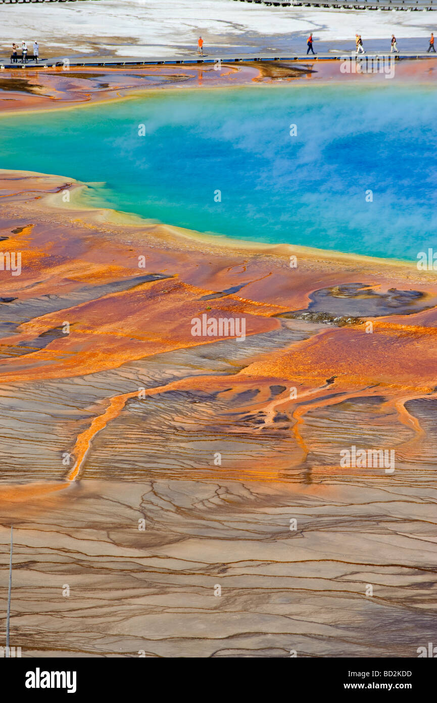 Grand Prismatic Spring mondo s terzo più grande piscina termale il Parco Nazionale di Yellowstone Wyoming USA Foto Stock