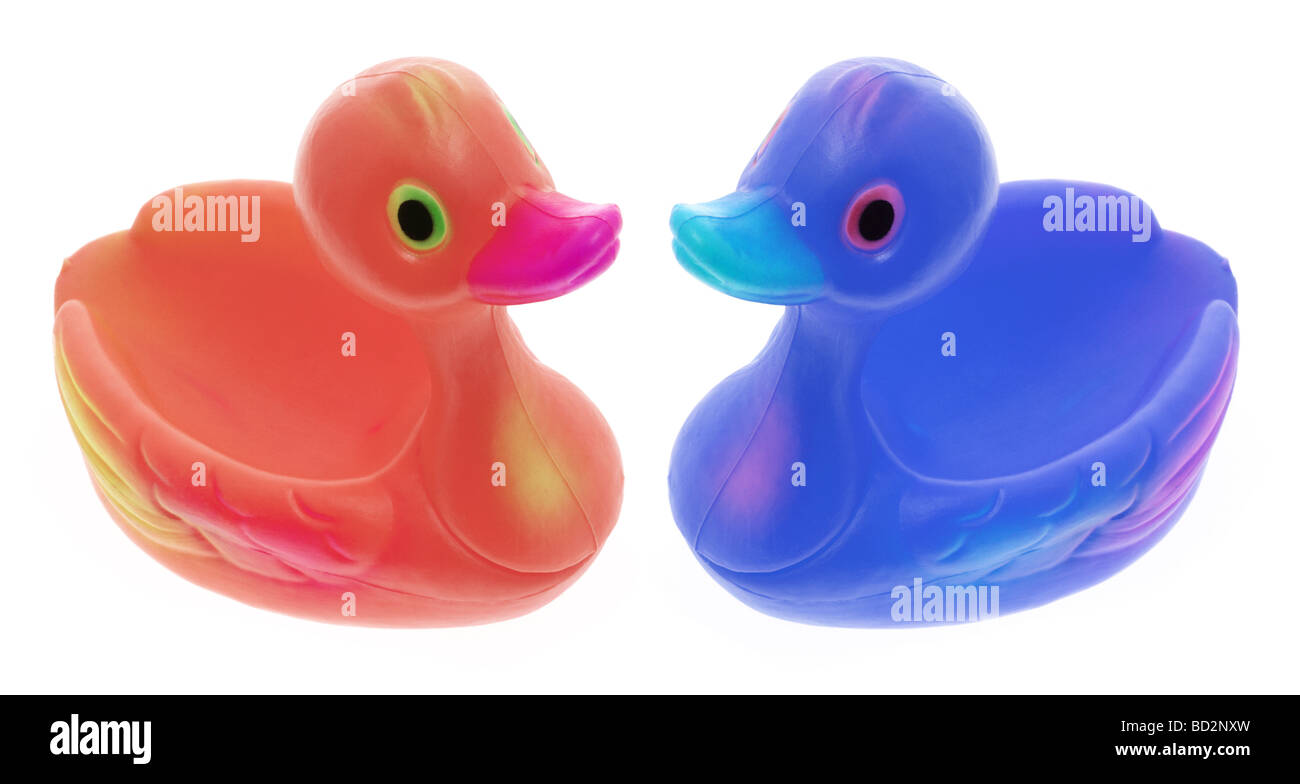 Anatre di gomma Foto Stock