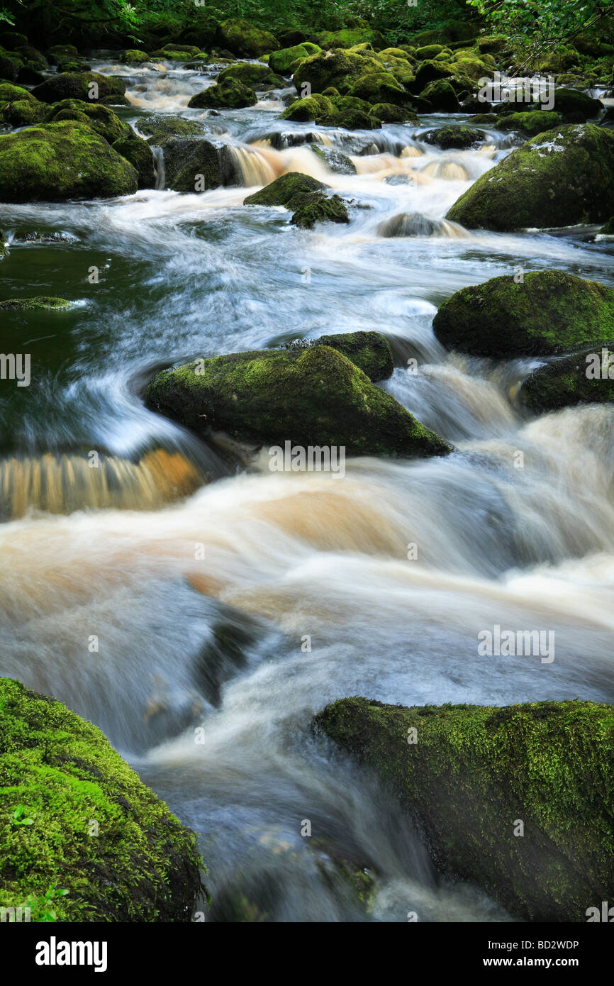 Claddagh River Ireland Foto Stock