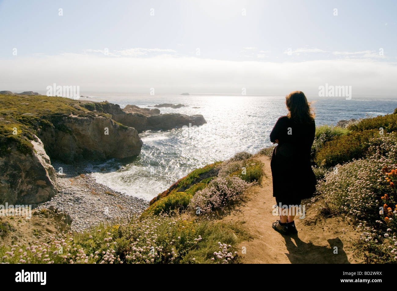 La donna che si affaccia sul mare Big Sur Costa della California Foto Stock