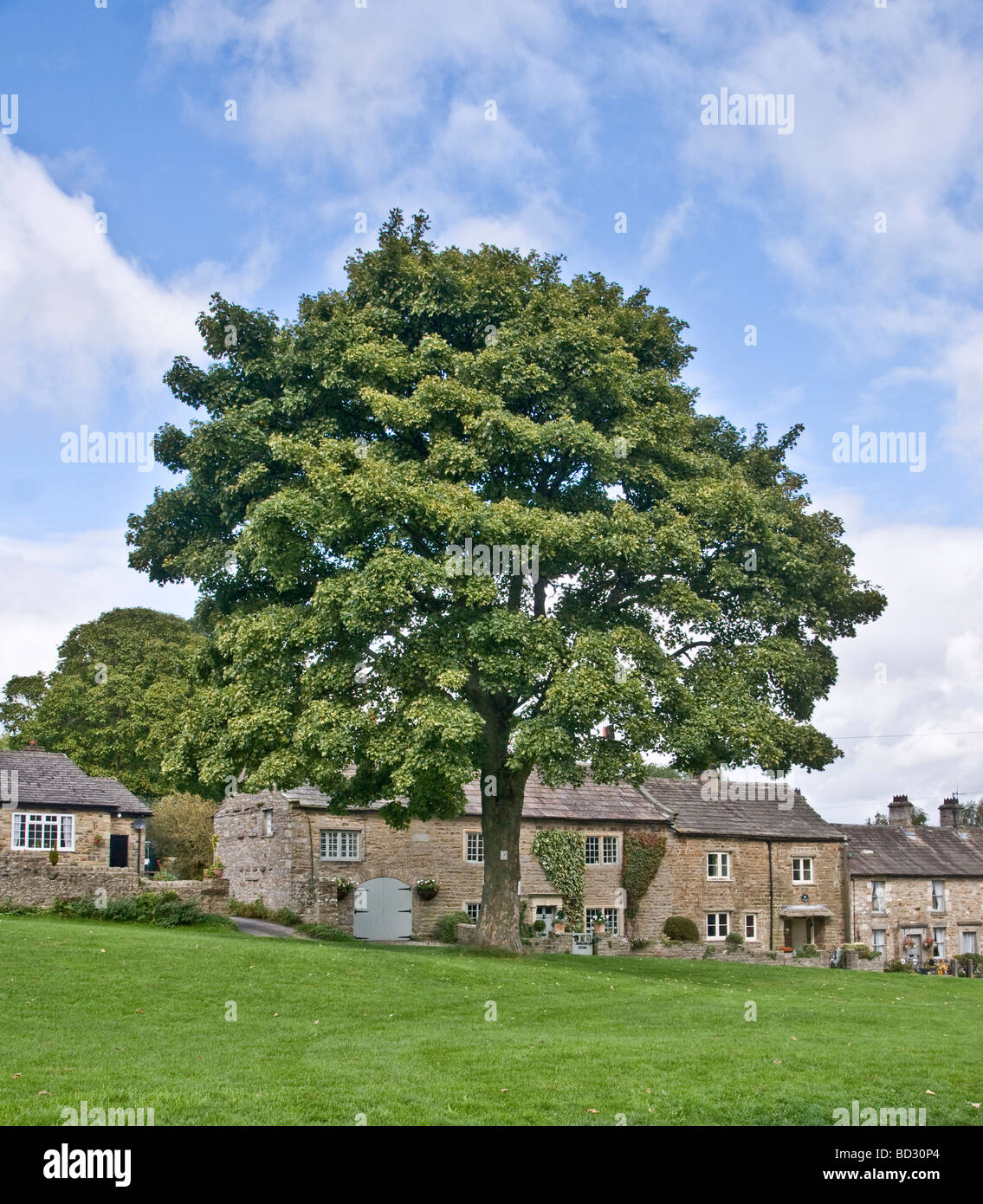 Di West Burton. Il villaggio è in corrispondenza della congiunzione di Bishopdale e Wensleydale, North Yorkshire. Foto Stock