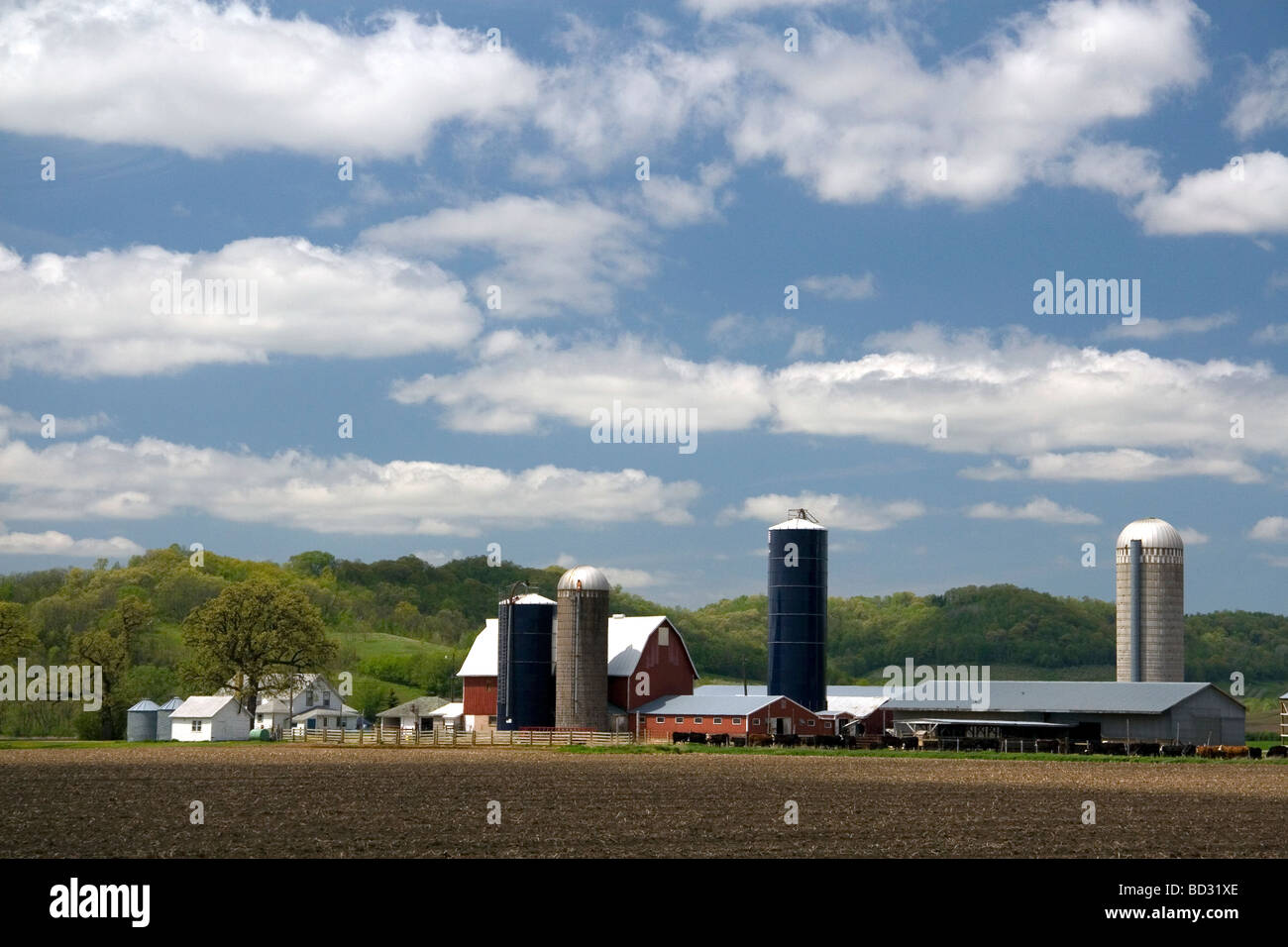 Granaio rosso e silos per il grano in una fattoria nella contea di Manitowoc nel Wisconsin USA Foto Stock