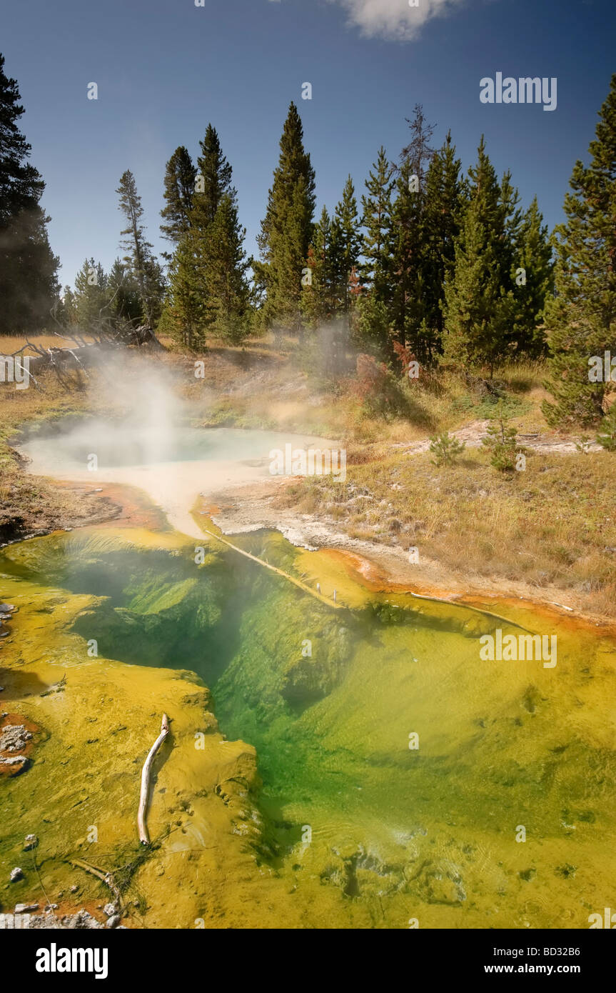 West Thumb Geyser Basin Parco Nazionale di Yellowstone Wyoming USA Foto Stock