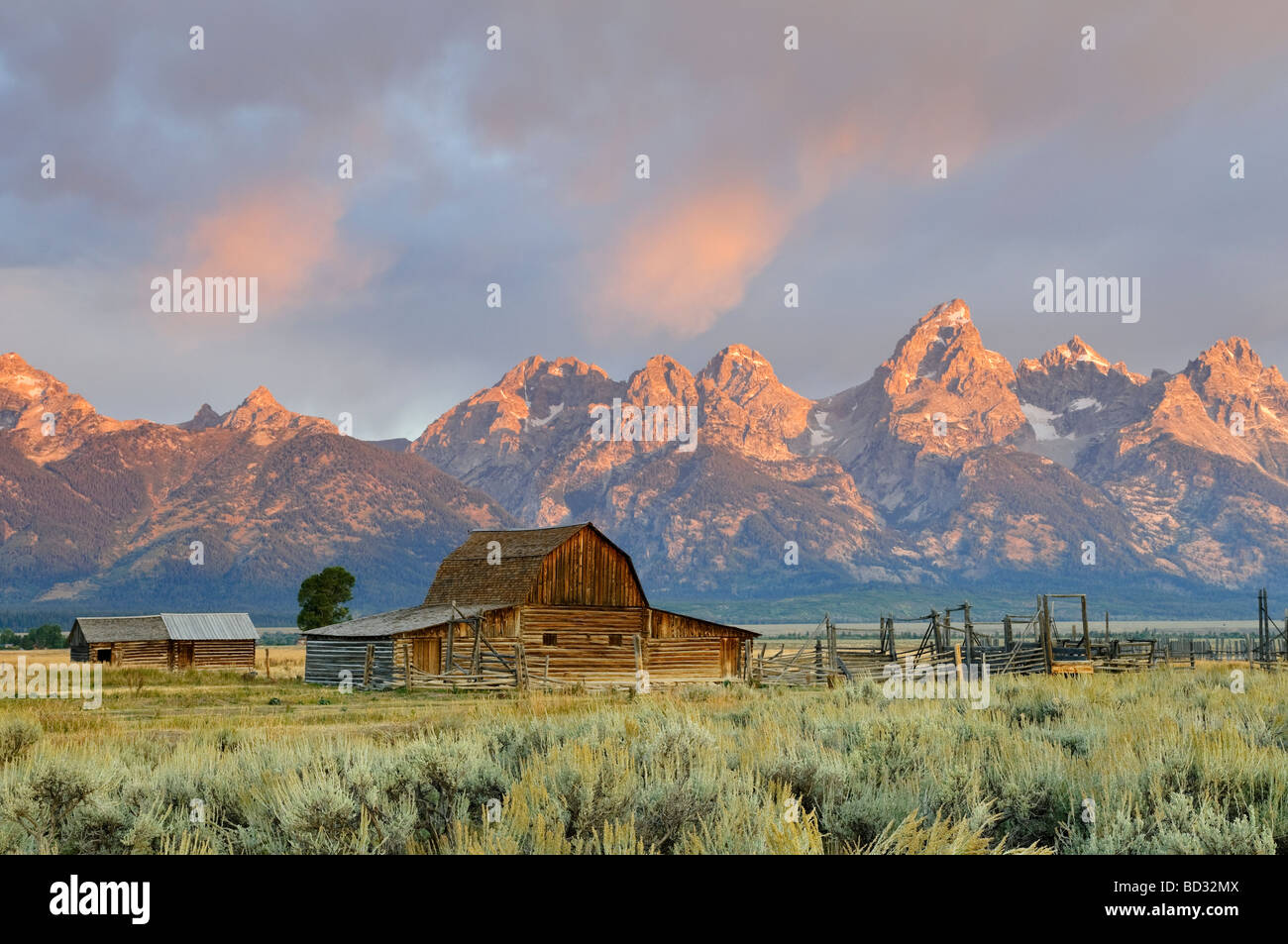 Fienile storico sulla fila di mormoni e Teton Mountain Range Grand Teton National Park Wyoming USA Foto Stock
