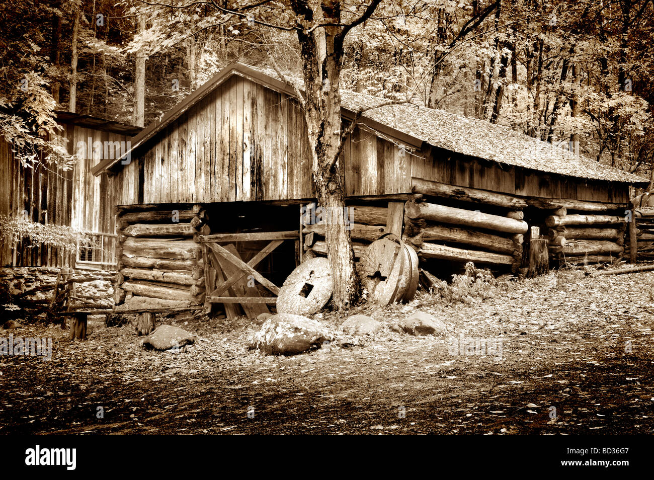 Vecchia cabina Pioneer in Smoky Mountians National Park - tonalità seppia Foto Stock