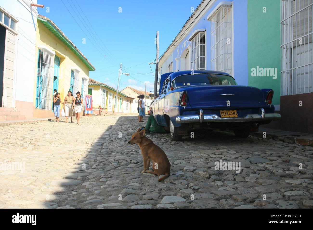 Cuba Trinidad cane nella parte anteriore del 1956 Ford Fairlane American Classic Car Photo CUBA0929 Copyright Christopher P Baker Foto Stock