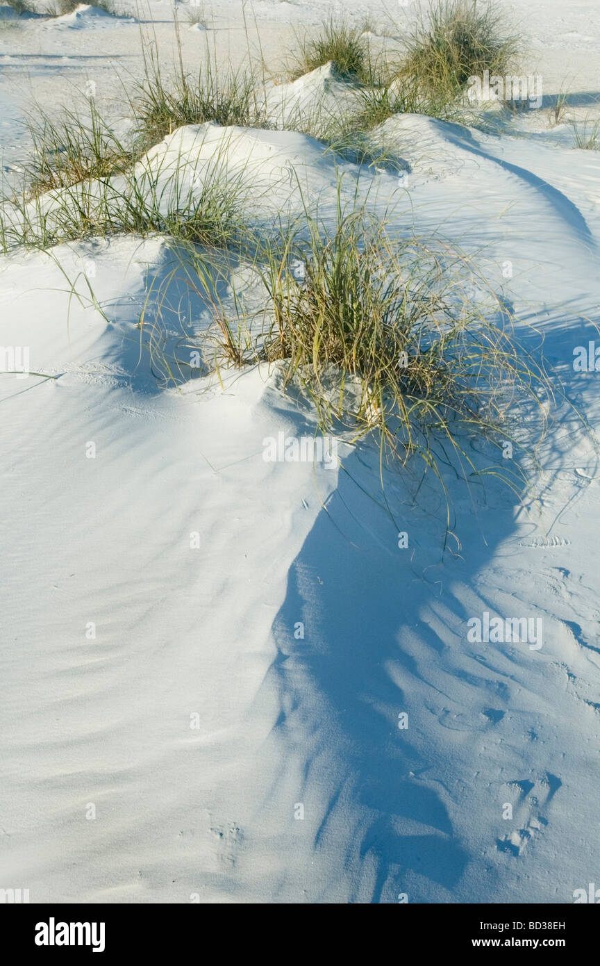 Dune di sabbia increspature vicino oceano con cielo blu Foto Stock