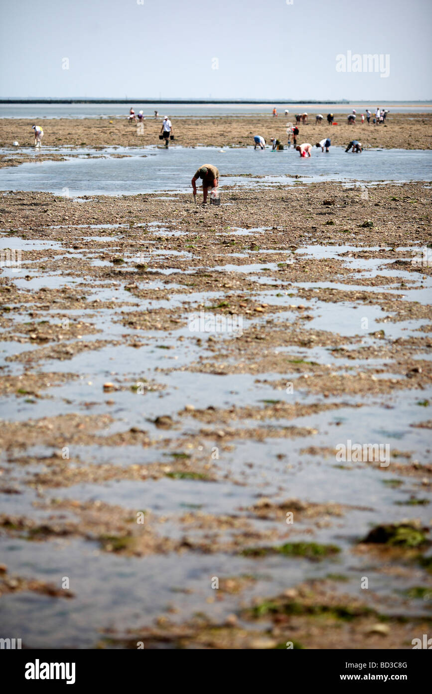 Fisherman ricerca per molluschi sulla spiaggia con la bassa marea sulla Ile de Noirmoutier sulla costa ovest della Francia Foto Stock
