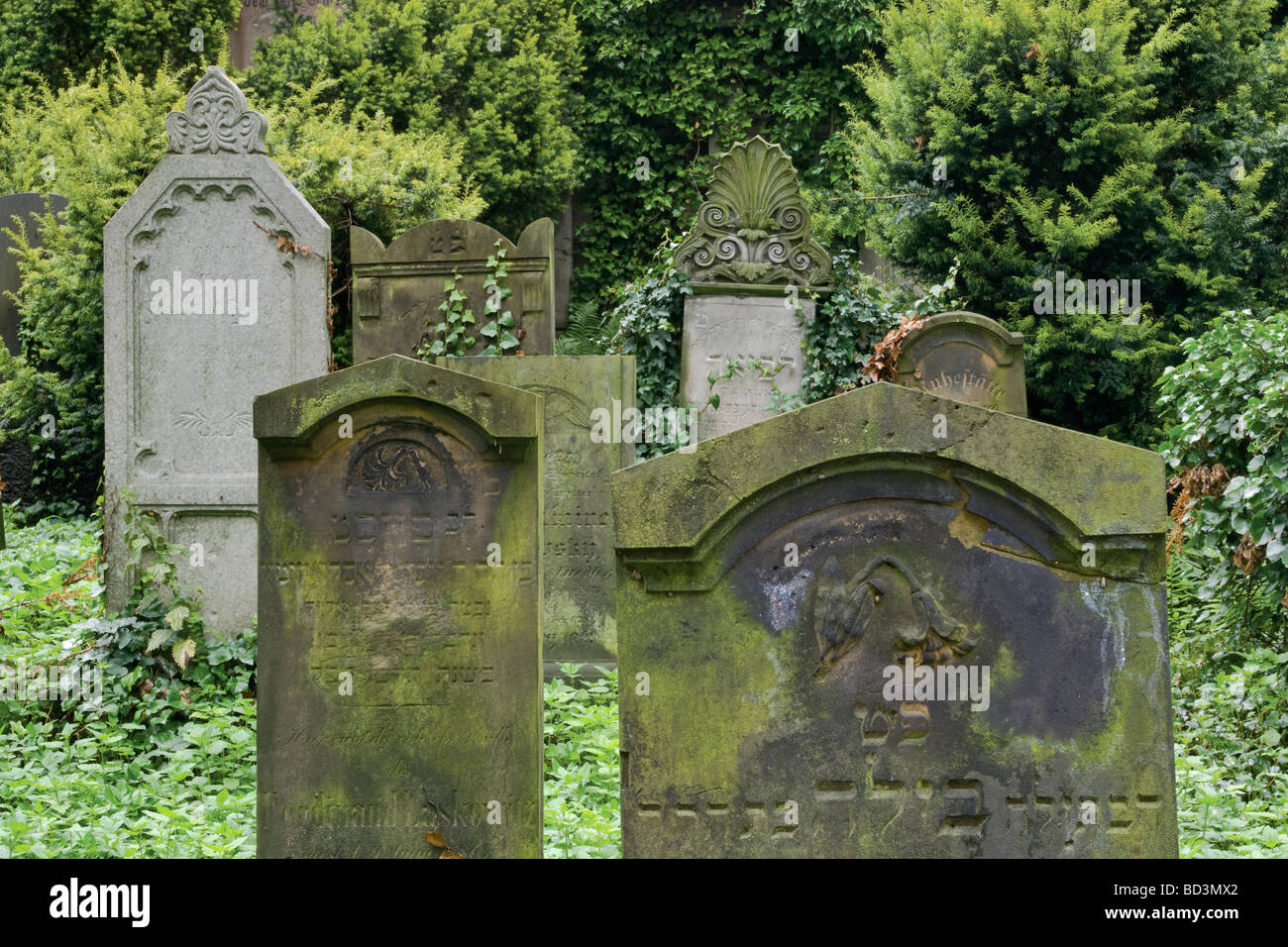 Lapidi al cimitero ebraico di Breslavia Bassa Slesia regione della Polonia Foto Stock